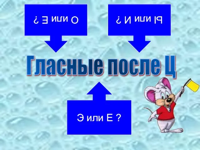 Гласные после Ц О или Е ? Ы или И ? Э или Е ?