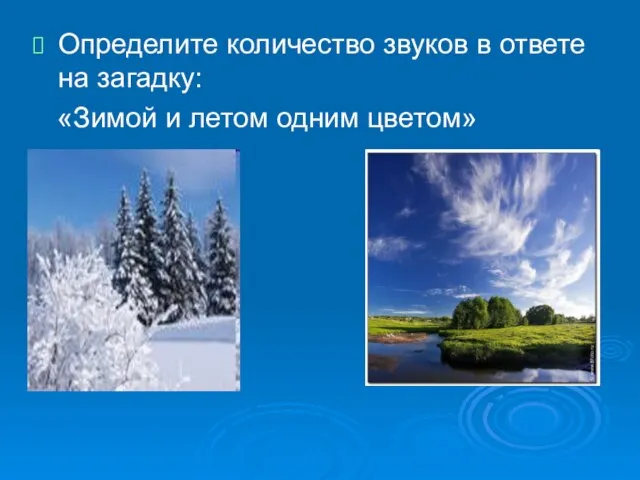 Определите количество звуков в ответе на загадку: «Зимой и летом одним цветом»