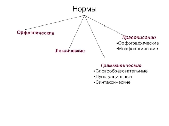 Нормы Орфоэпические Лексические Грамматические Словообразовательные Пунктуационные Синтаксические Правописания Орфографические Морфологические