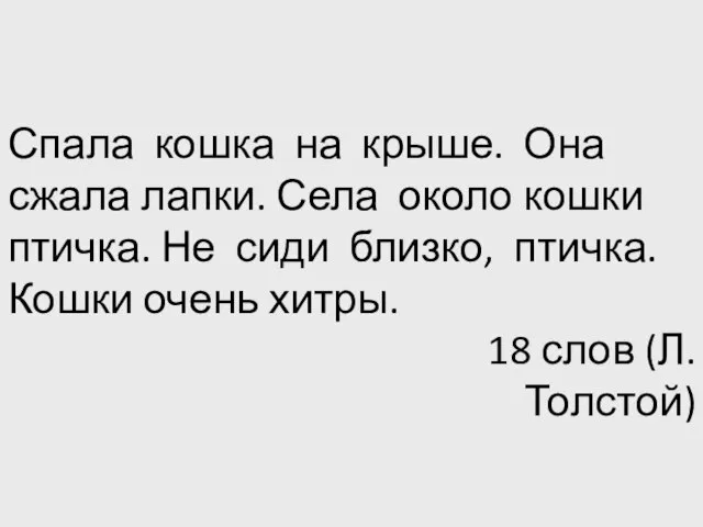 Спала кошка на крыше. Она сжала лапки. Села около кошки птичка. Не