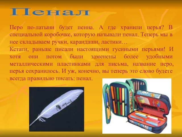 Пенал Перо по-латыни будет пенна. А где хранили перья? В специальной коробочке,