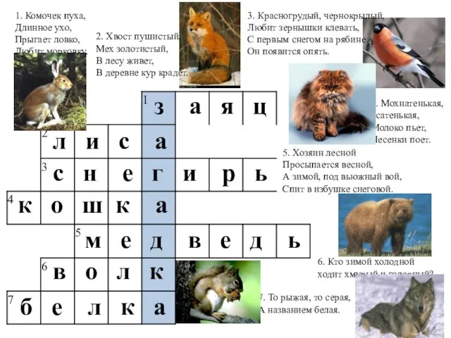 7. То рыжая, то серая, А названием белая. 1. Комочек пуха, Длинное