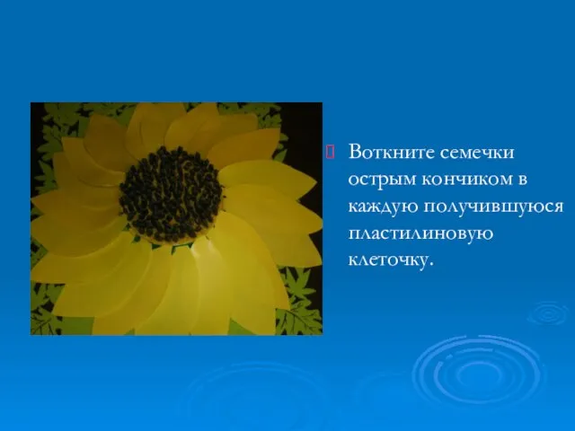 Воткните семечки острым кончиком в каждую получившуюся пластилиновую клеточку.