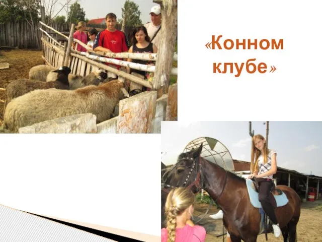 «Конном клубе»