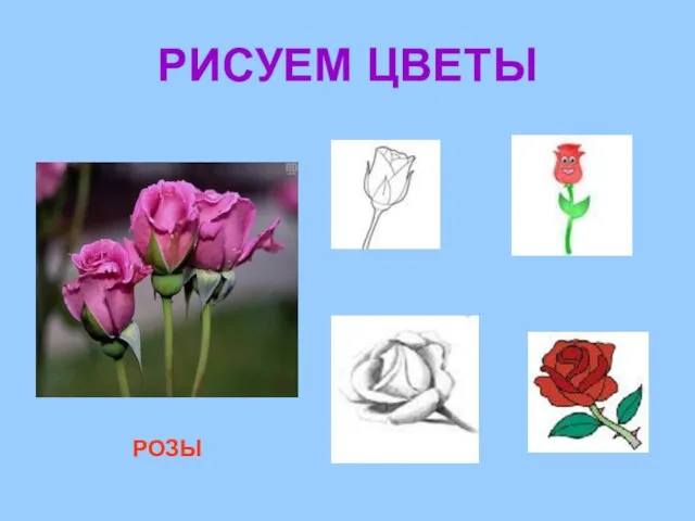 РИСУЕМ ЦВЕТЫ РОЗЫ