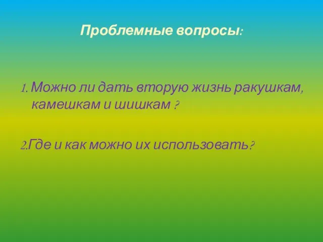 Проблемные вопросы: 1. Можно ли дать вторую жизнь ракушкам, камешкам и шишкам