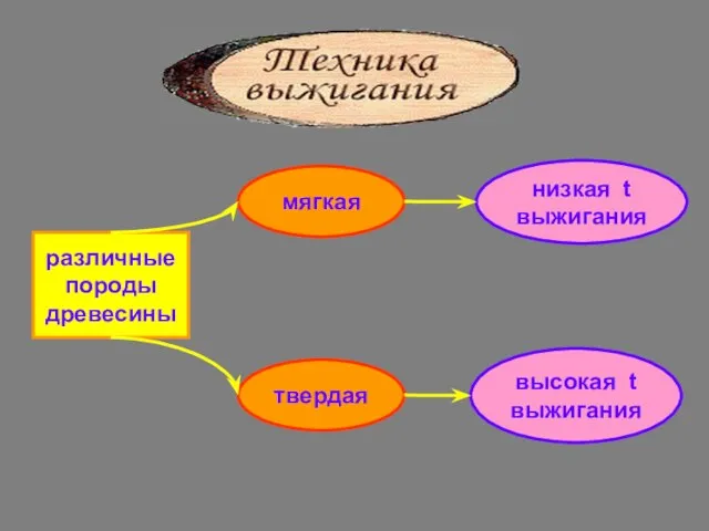 мягкая низкая t выжигания высокая t выжигания твердая различные породы древесины