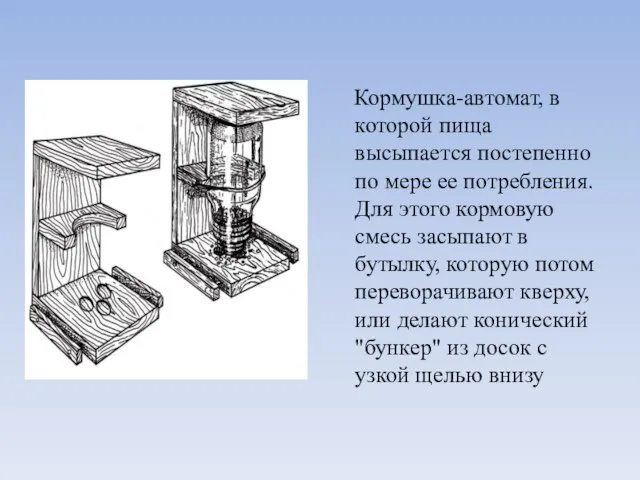 Кормушка-автомат, в которой пища высыпается постепенно по мере ее потребления. Для этого