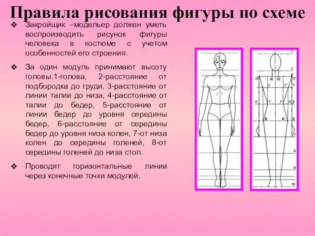 Правила рисования фигуры по схеме Закройщик –модельер должен уметь воспроизводить рисунок фигуры