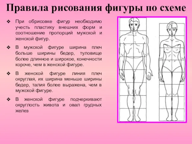 Правила рисования фигуры по схеме При обрисовке фигур необходимо учесть пластику внешних