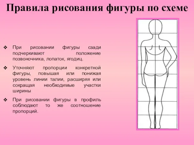 Правила рисования фигуры по схеме При рисовании фигуры сзади подчеркивают положение позвоночника,