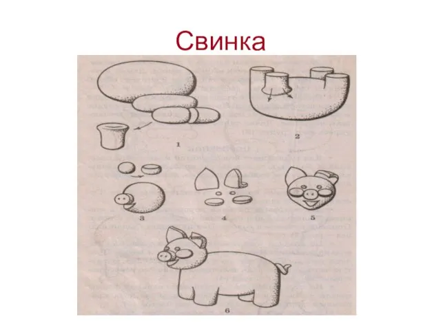 Свинка