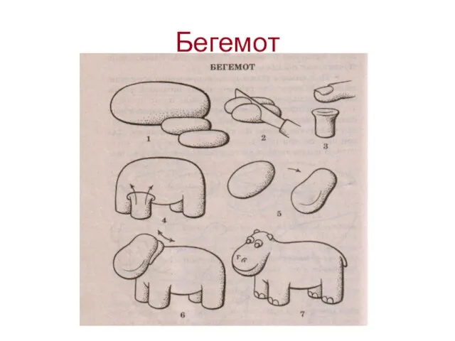 Бегемот