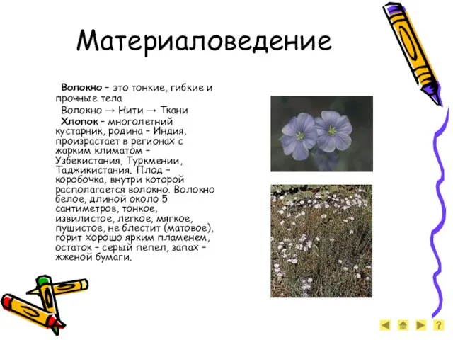 Материаловедение Волокно – это тонкие, гибкие и прочные тела Волокно → Нити