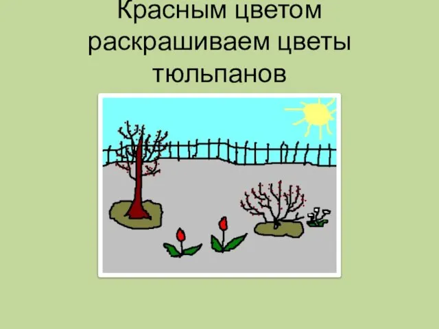 Красным цветом раскрашиваем цветы тюльпанов