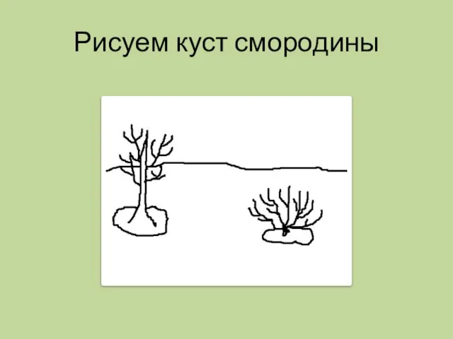 Рисуем куст смородины