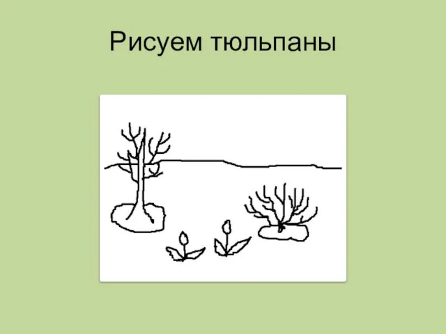 Рисуем тюльпаны