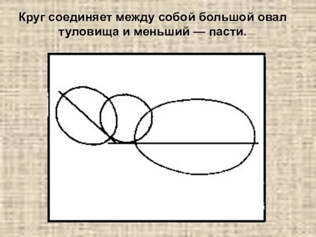 Круг соединяет между собой большой овал туловища и меньший — пасти.