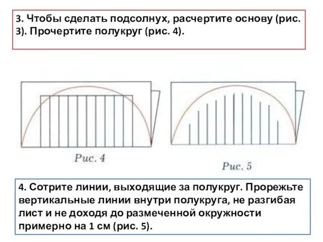 3. Чтобы сделать подсолнух, расчертите основу (рис. 3). Прочертите полукруг (рис. 4).