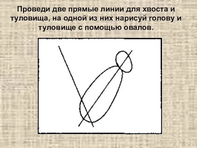 Проведи две прямые линии для хвоста и туловища, на одной из них