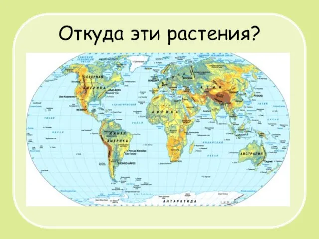 Откуда эти растения?