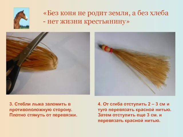 3. Стебли лыка заломить в противоположную сторону. Плотно стянуть от перевязки. 4.