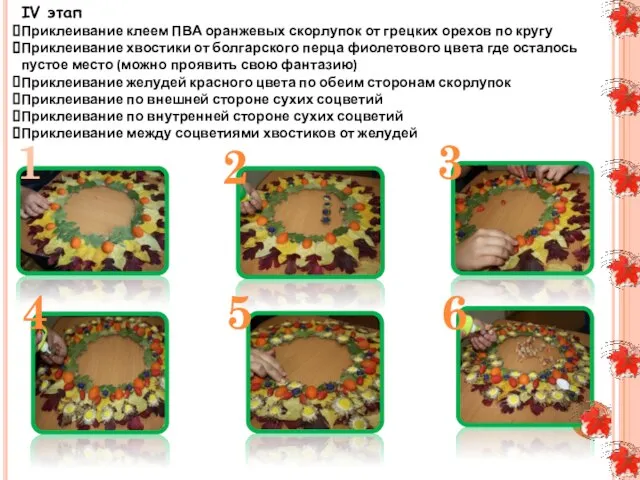 IV этап Приклеивание клеем ПВА оранжевых скорлупок от грецких орехов по кругу
