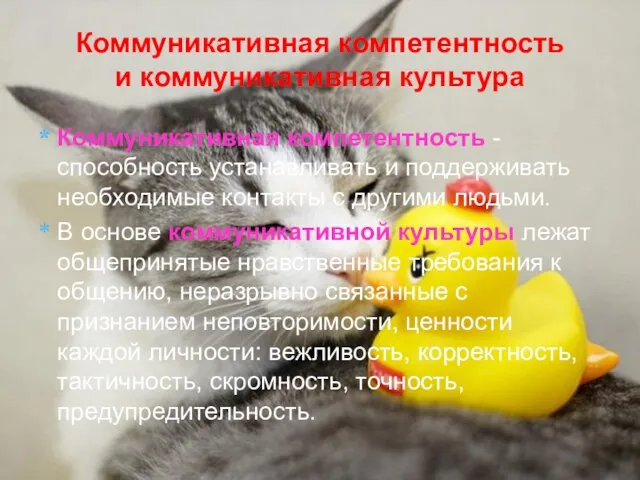 Коммуникативная компетентность и коммуникативная культура Коммуникативная компетентность - способность устанавливать и поддерживать