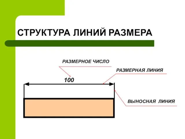 СТРУКТУРА ЛИНИЙ РАЗМЕРА 100 РАЗМЕРНОЕ ЧИСЛО РАЗМЕРНАЯ ЛИНИЯ ВЫНОСНАЯ ЛИНИЯ