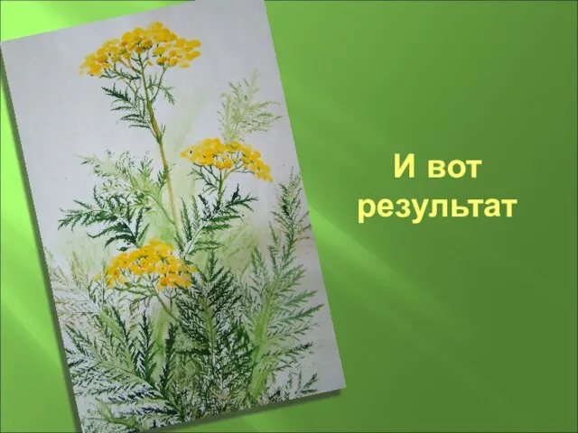 И вот результат