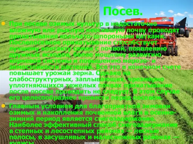 Посев. При посеве озимых культур в недостаточно влажную или рых­лую неосевшую почву