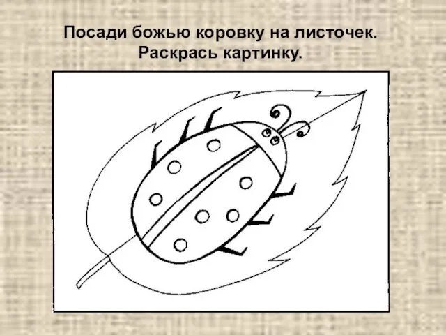 Посади божью коровку на листочек. Раскрась картинку.