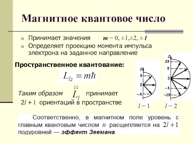 Магнитное квантовое число Принимает значения m = 0, ±1,±2, ± l Определяет