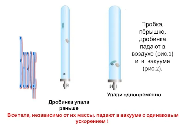 Все тела, независимо от их массы, падают в вакууме с одинаковым ускорением