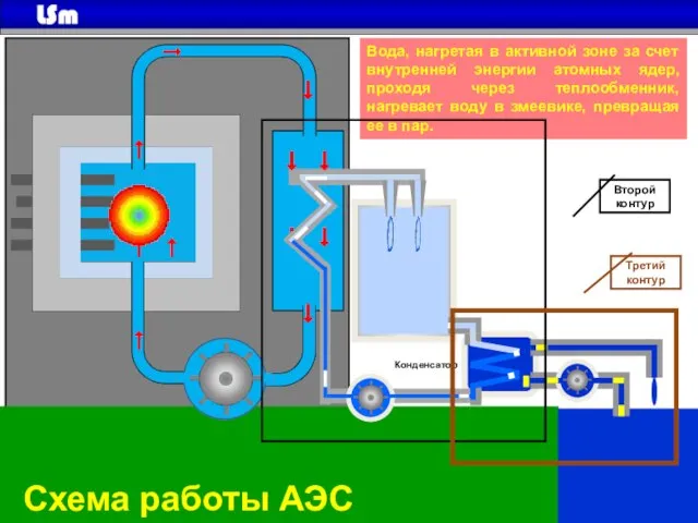 Конденсатор Схема работы АЭС Вода, нагретая в активной зоне за счет внутренней