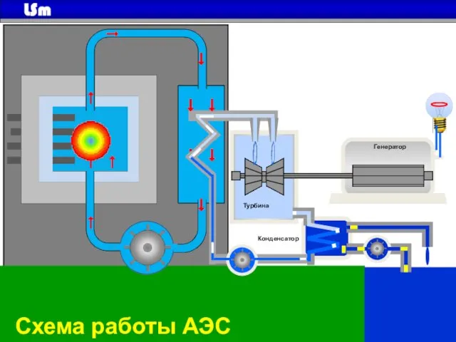 Генератор Турбина Конденсатор Схема работы АЭС