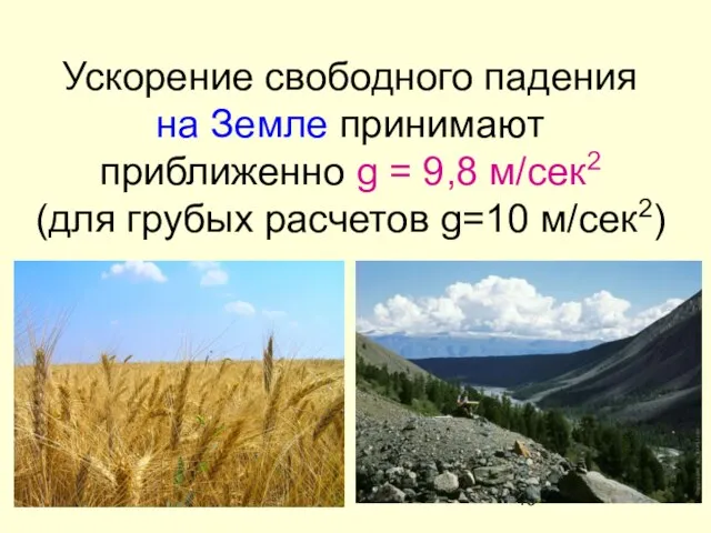 Ускорение свободного падения на Земле принимают приближенно g = 9,8 м/сек2 (для грубых расчетов g=10 м/сек2)