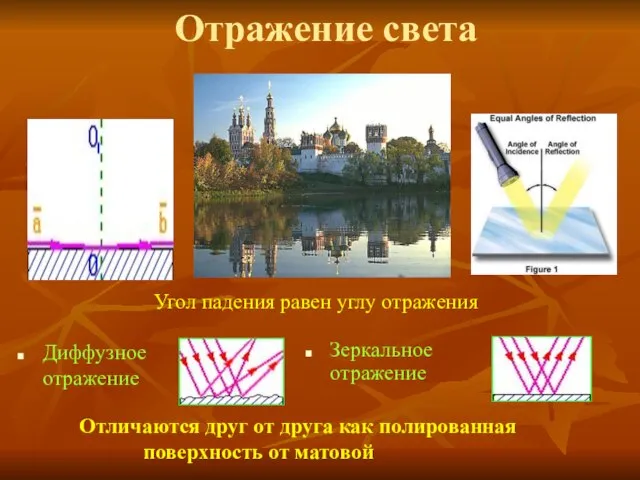 Отражение света Диффузное отражение Зеркальное отражение Угол падения равен углу отражения Отличаются