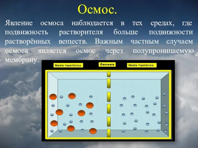 Осмос. Явление осмоса наблюдается в тех средах, где подвижность растворителя больше подвижности