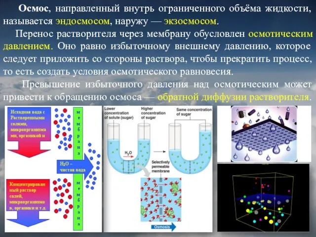 Осмос, направленный внутрь ограниченного объёма жидкости, называется эндосмосом, наружу — экзосмосом. Перенос