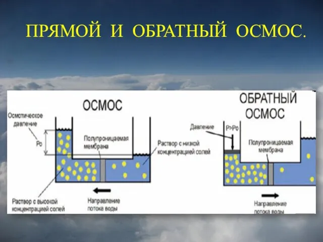 ПРЯМОЙ И ОБРАТНЫЙ ОСМОС.