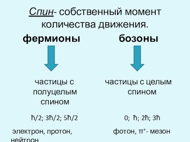 Спин- собственный момент количества движения. фермионы частицы с полуцелым спином бозоны частицы