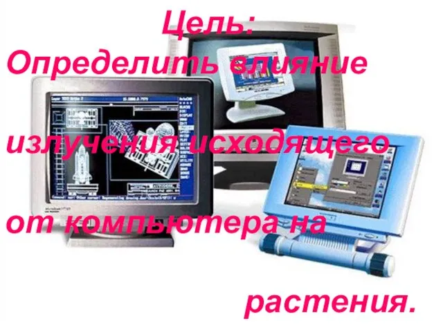 Цель: Определить влияние излучения исходящего от компьютера на растения.