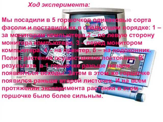 Ход эксперимента: Мы посадили в 5 горшочков одинаковые сорта фасоли и поставили