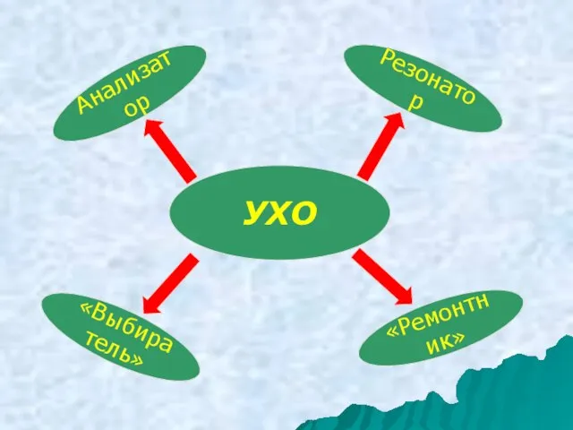 УХО «Выбиратель» «Ремонтник» Анализатор Резонатор