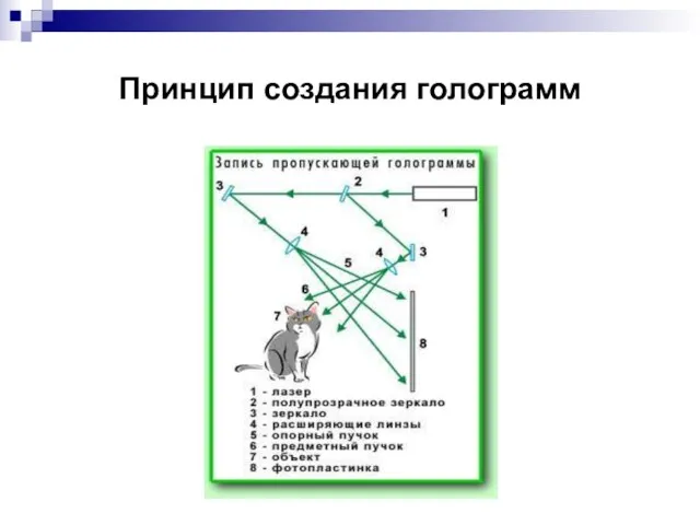 Принцип создания голограмм