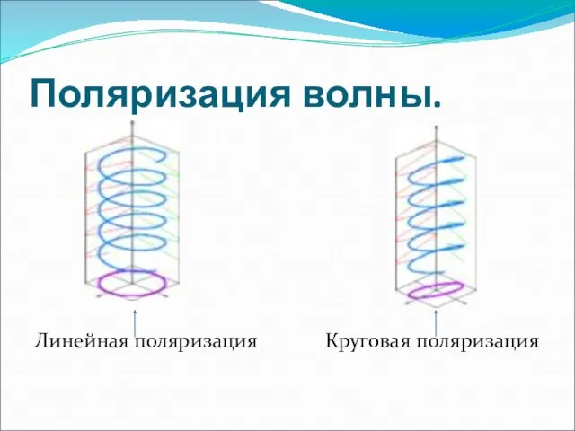 Поляризация волны. Линейная поляризация Круговая поляризация