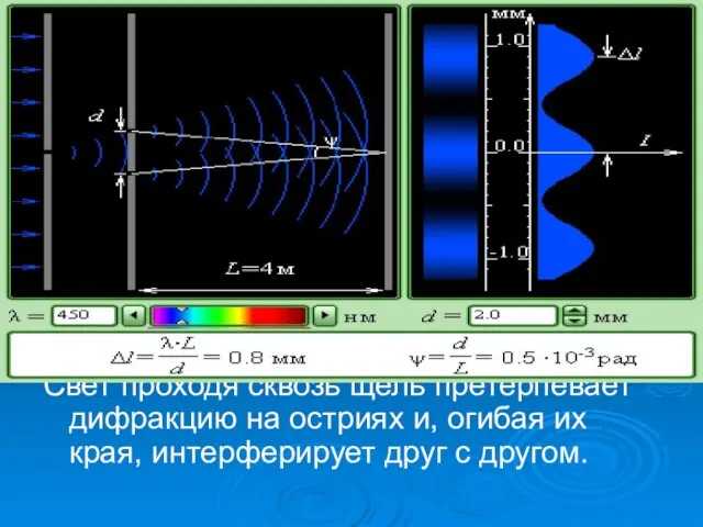 Свет проходя сквозь щель претерпевает дифракцию на остриях и, огибая их края, интерферирует друг с другом.