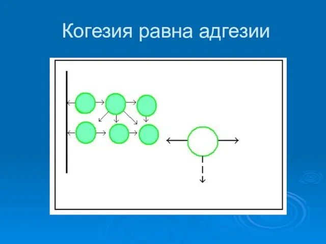 Когезия равна адгезии