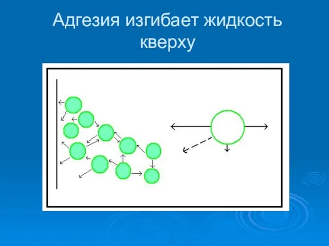 Адгезия изгибает жидкость кверху